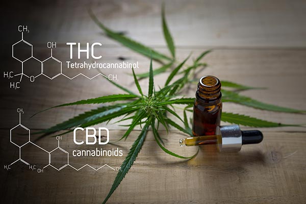 similarities-between-THC-and-CBD similarities-between-THC-and-CBD