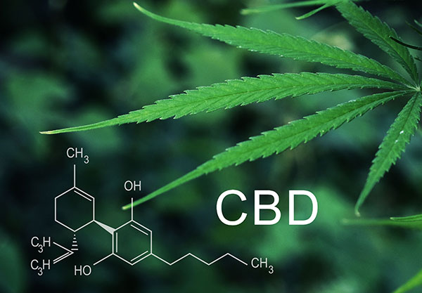 what is cbd what is cbd
