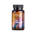 Sool Broad Spectrum CBD Gel Capsules 450mg, 30pcs | Reakiro CBD