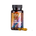 Sool Broad Spectrum CBD Gel Capsules 450mg, 30pcs | Reakiro CBD