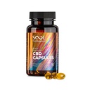 CBD Kapseln Breitspektrum 750mg 30 Stück THC-frei - SOOL | Reakiro CBD DE